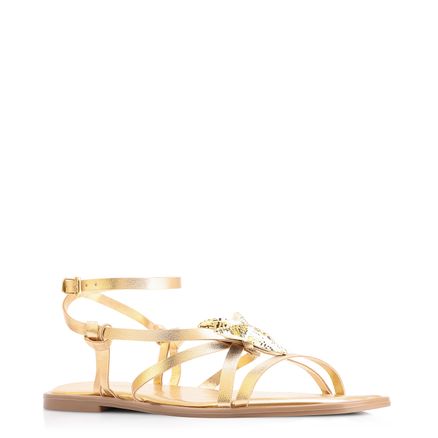 Rasteirinha Estrela Do Mar - Alt Dourado