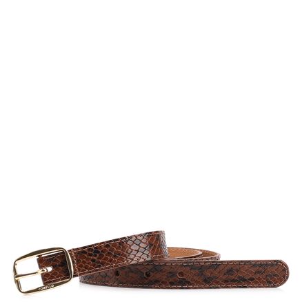 Cinto - Alt Python Marrrom