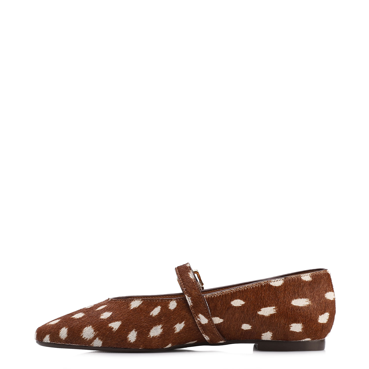 IMAGEM5